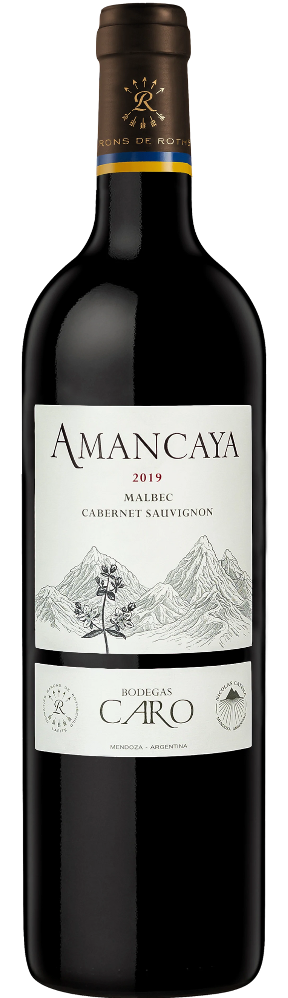 Amancaya 2021